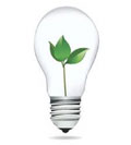 Picture of a lightbulb
